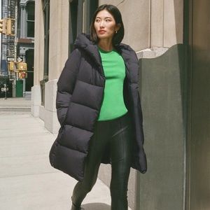 Aritzia Babaton Puffer Coat